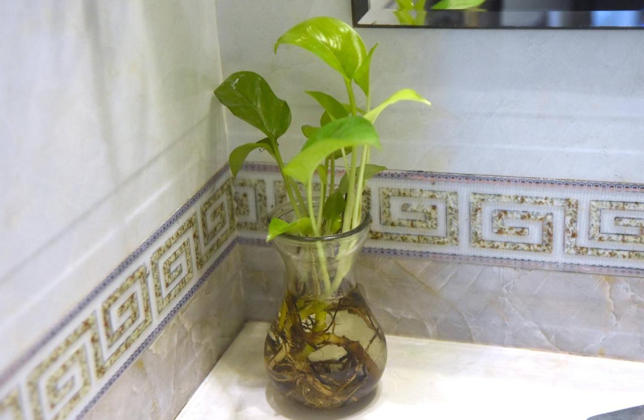 Sao Hotel Nguyen Ngoc Vu Hanoi Exteriör bild